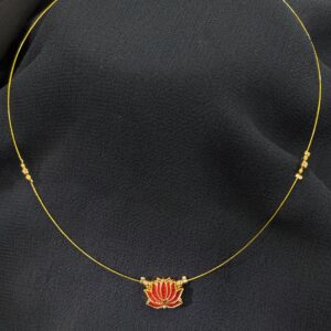 Invisible Minimal Lotus set